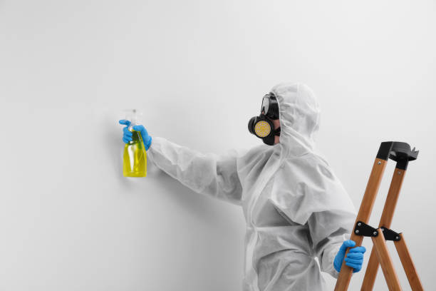 Trusted Belmar, NJ Mold Removal & Remediation Experts